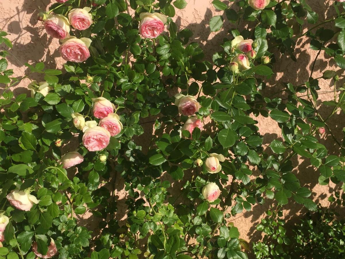 Rose Garden Mezzanine Giverny Exterior foto