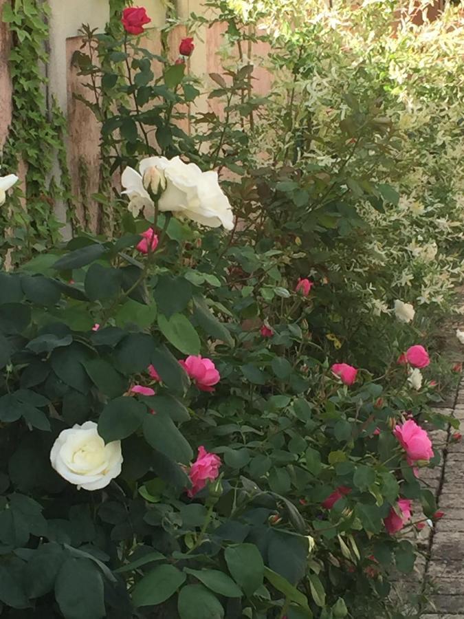 Rose Garden Mezzanine Giverny Exterior foto